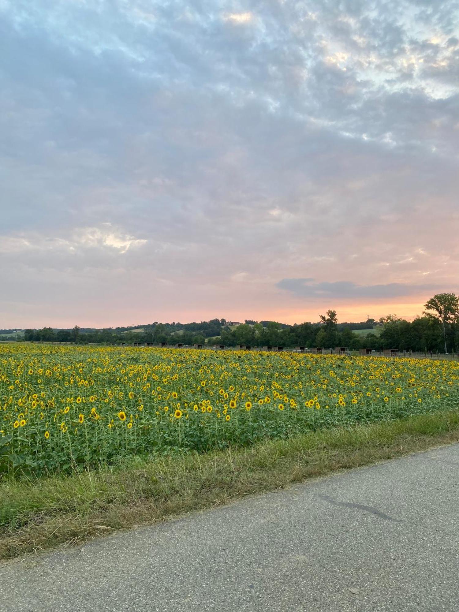 Dependance Privee A La Campagne Avec Spa Saint-Cirice ภายนอก รูปภาพ